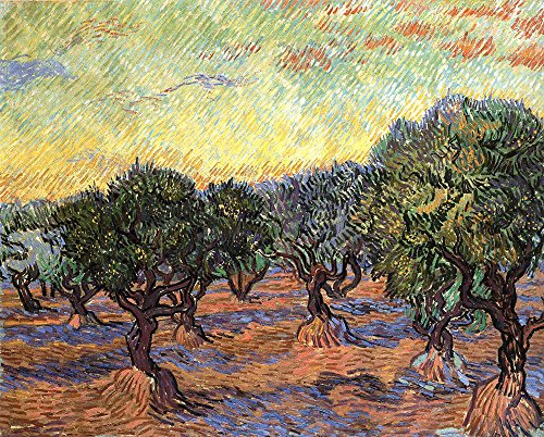 Olive Trees Van Gogh - Extra Large Archival Matte Print - 2