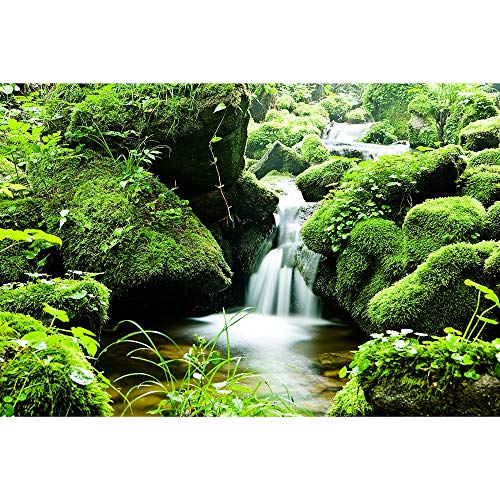 Rompecabezas De Madera For Adultos Valle De Agua En El Bosque Súper Desafío 500-6000 Piezas Green Nature Serie del Paisaje Regalos Rompecabezas Decoración 0603 (Size : 6000 Pieces)