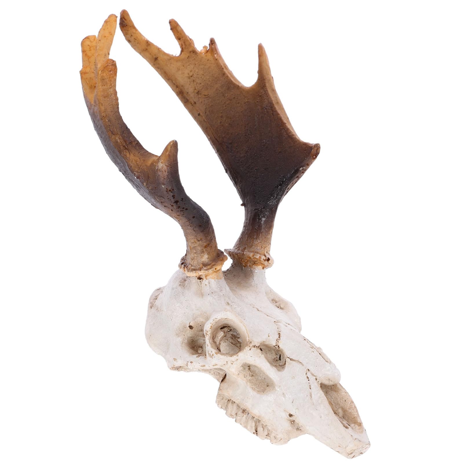 POPETPOP 5 Pz Decorazione Dell'habitat Animali Ornamento Della Caverna Del Rettile Acquario Per Rettili. Pelle Di Teschio Di Cervo Nascondiglio Per Rettili Nascondiglio Dei Rettili Resina
