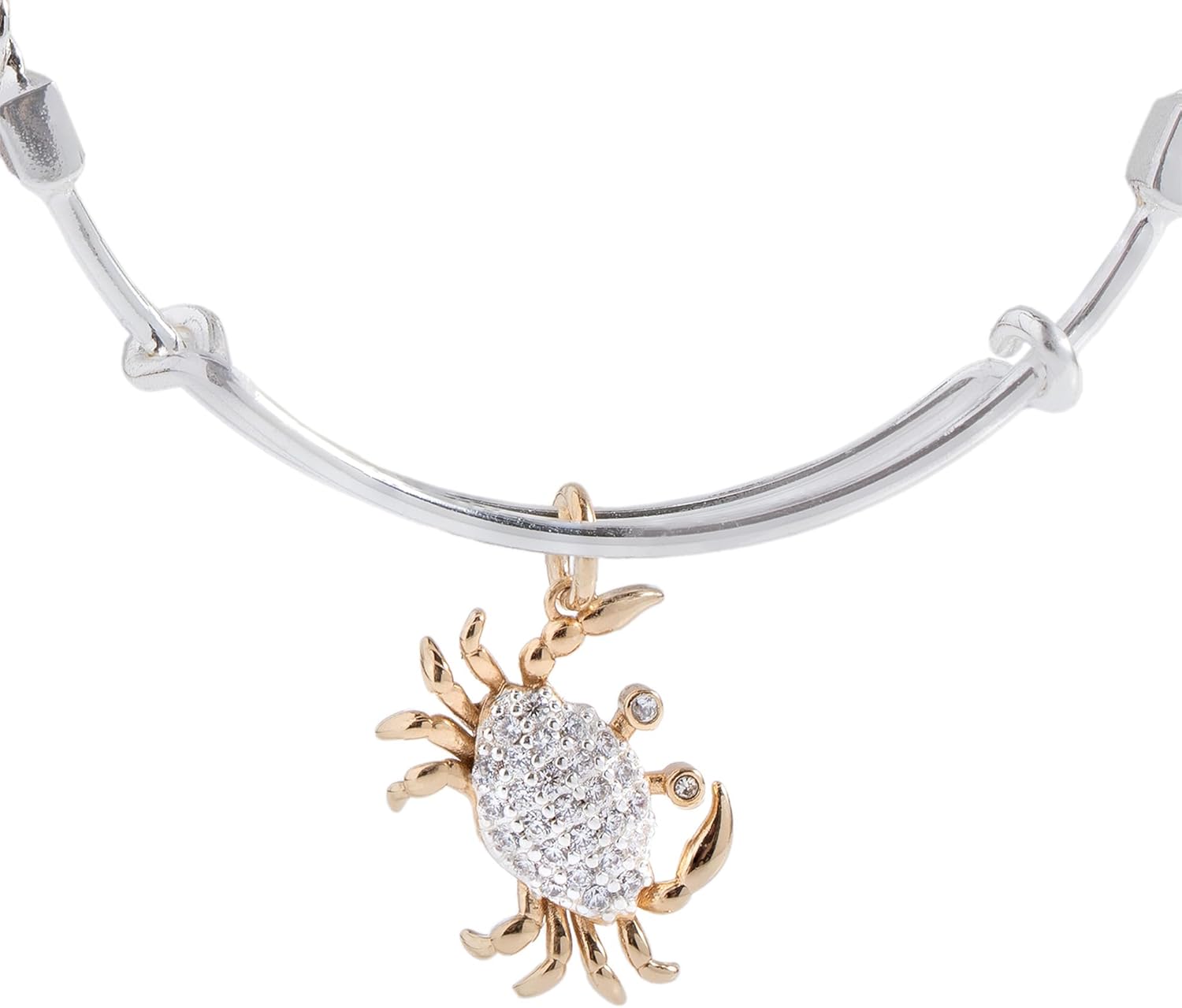 Alex and Ani Textured Goldfish Charm Bangle - Image 2