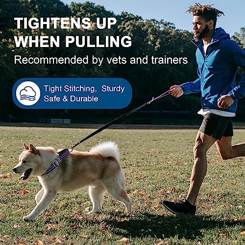 Joyeeiioo Martingale Dog Collar, Adjustable Nylon Reflective Collar With Buckle. No Pull-For Small, Medium, Large Dogs. Prevents Slipping Out-Helps With Strong Pullers-Increase Control (Purple L) #TOP5
