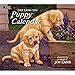 Lang Puppy 2016 Wall Calendar by Jim Lamb, January 2016 to December 2016, 13.375 x 24 Inches (1001937)