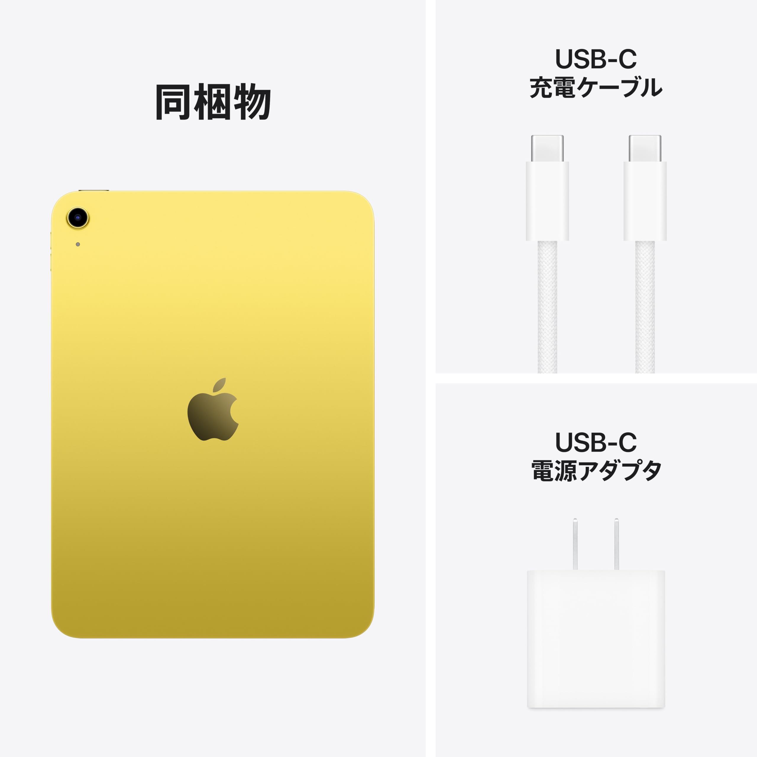 Amazon.co.jp: 【整備済み品】Apple 11 インチ iPad (A16): 11 インチ