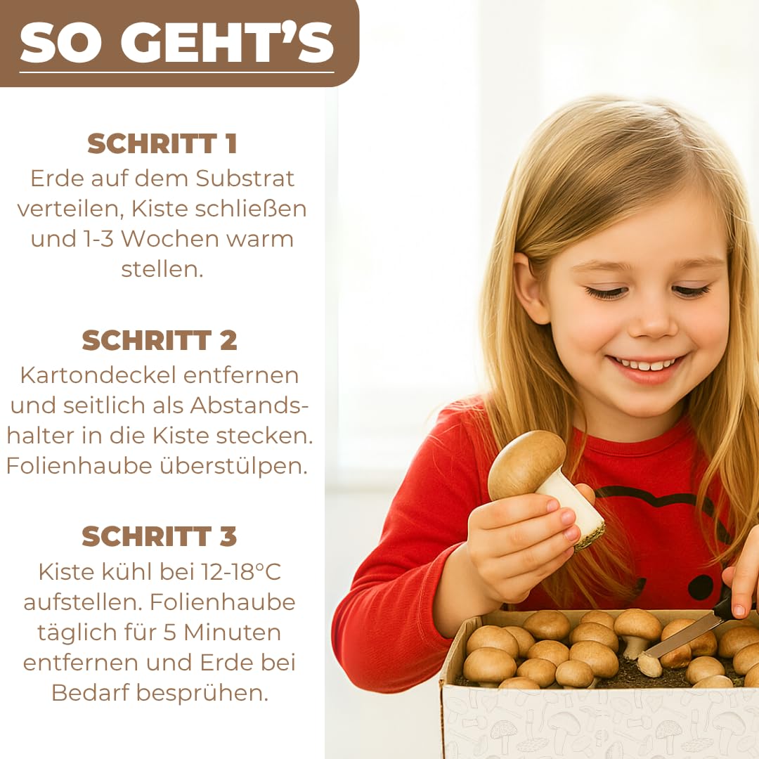 Hawlik Pilzbrut Champignon Pilzzuchtset Spar-Bundle XXL – 2 große Zuchtboxen für Steinchampignons und weiße Champignons – Pilze zuhause ohne Vorwissen oder Zubehör anbauen – etwa 6 kg Pilzernte!