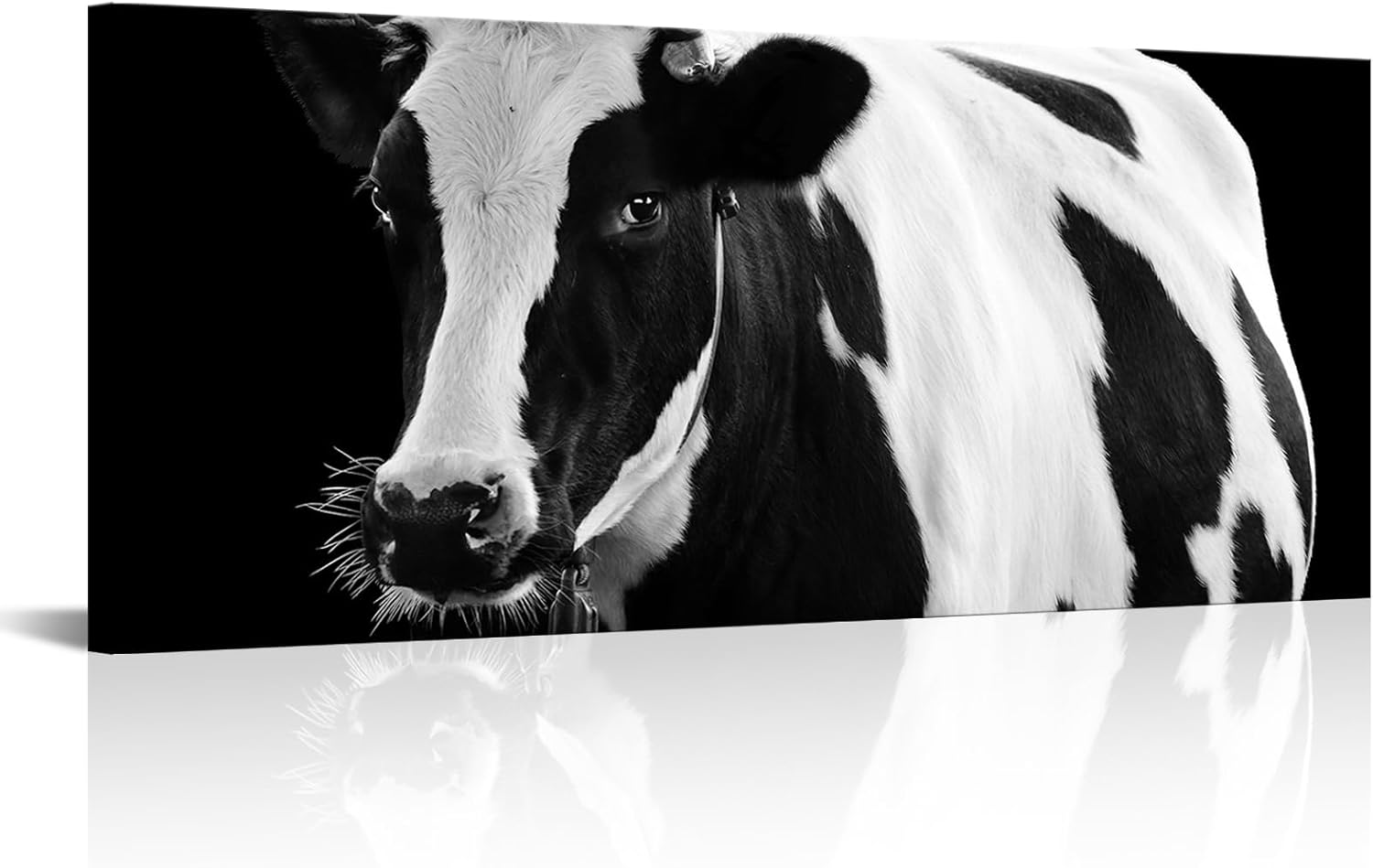 LevvArts Black and White Dairy Cow Canvas Wall Art Farm Animal Picture Print Western Decor 20x48 Inch