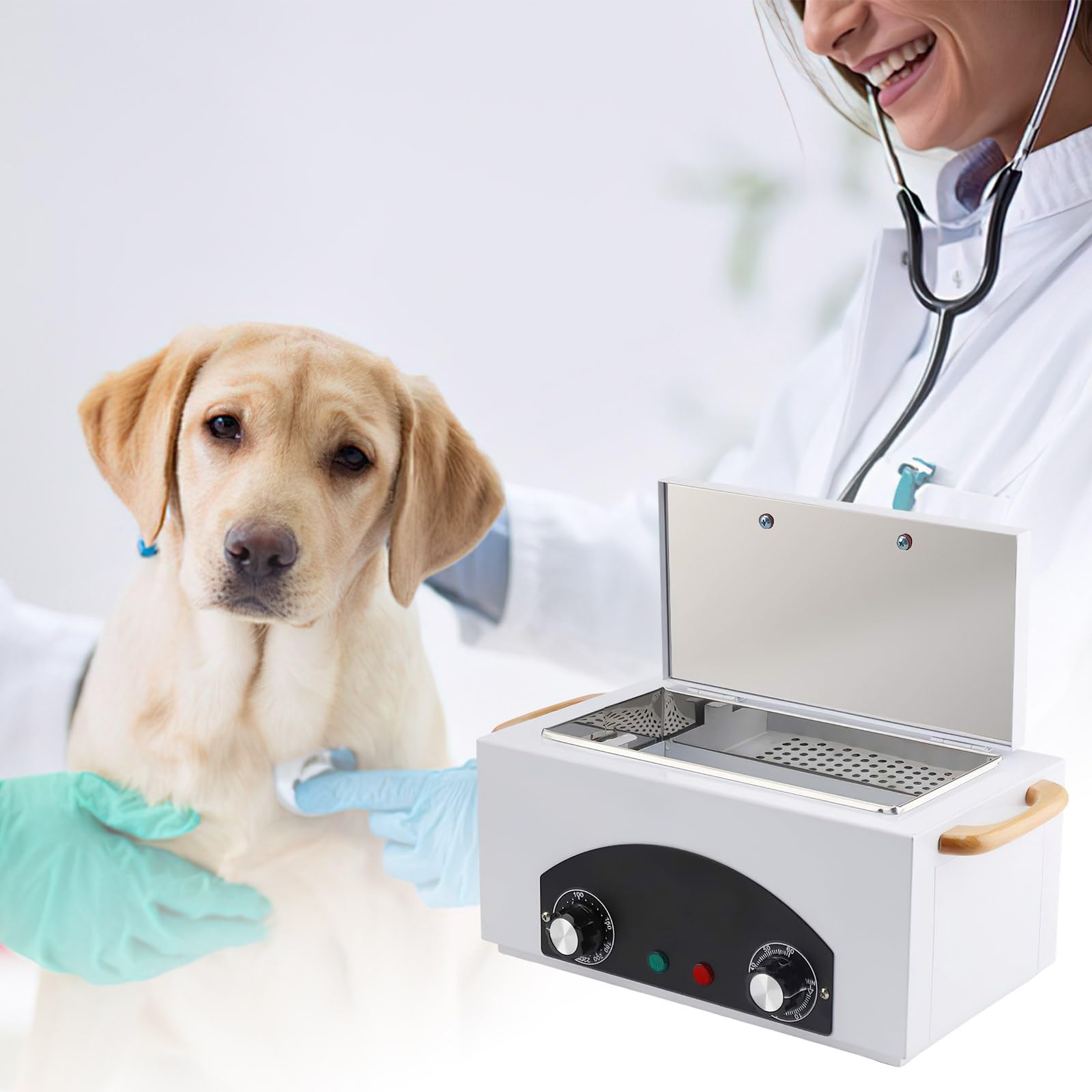 Esterilizador De Aire Caliente 2, Calor Seco Con Temporizador 2 Horas, Temperatura Controlable 50-220 C, Alta Para Salón Belleza, L