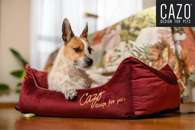 Foto 6 de 7 de Cama de plumón CAZO Milan para Perros y Gatos 55 x 42 cm, tamaño interior 30 x 20 cm, tamaño XS, Borgoña