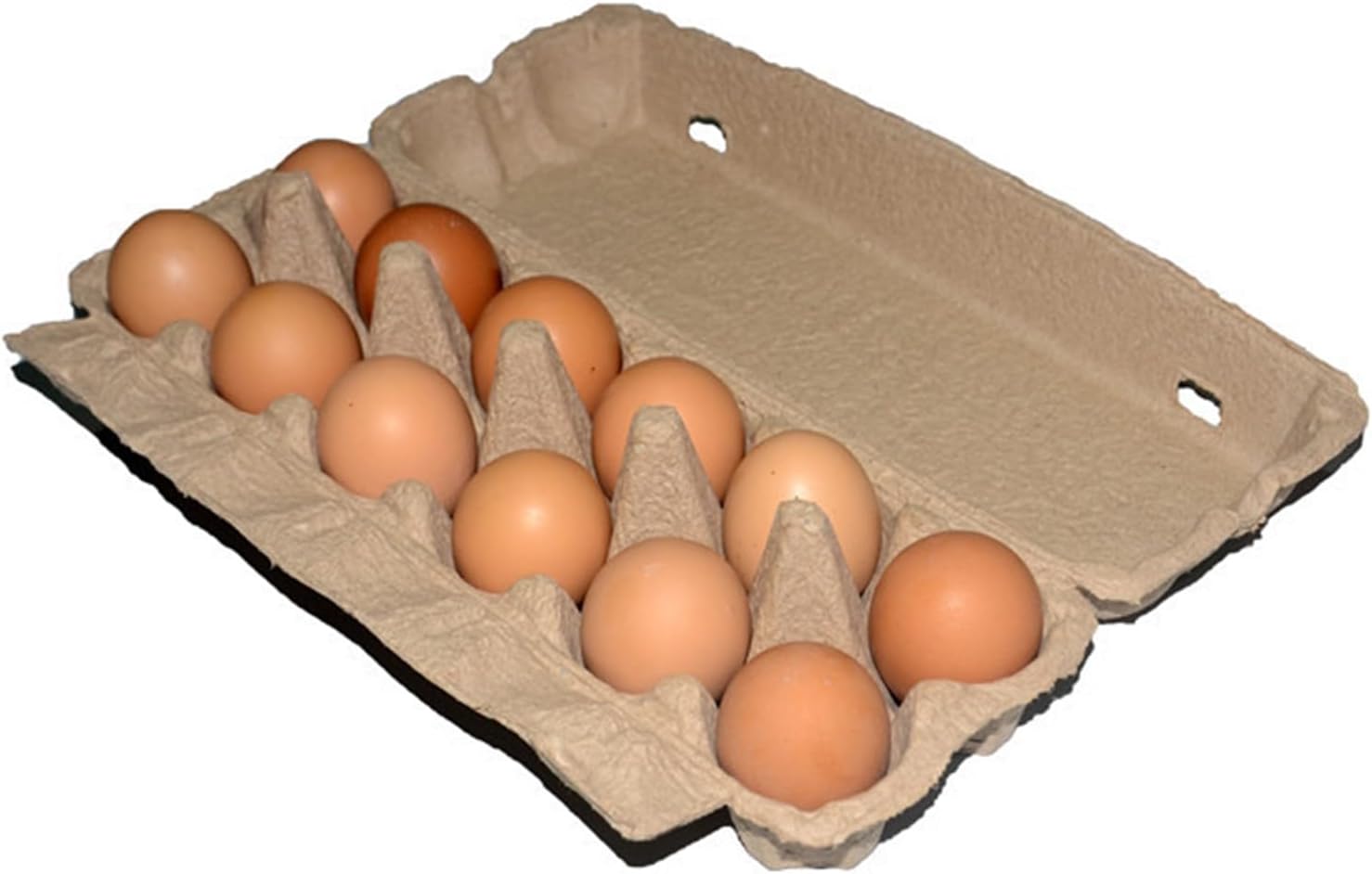 Egg Holder for Fridge 10Pcs Egg Holder Eco-Friendly Shockproof Paper Refrigerator Eggs Storage Paper Case for Kitchen (Brown)