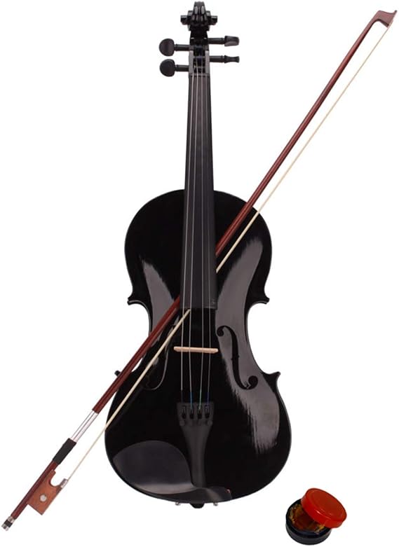4/4 Acoustic Violin Set,Beginner Violin Vintage Solid Wood Violin Starter Kit with Carrying Case,Bow and Rosin (Black)