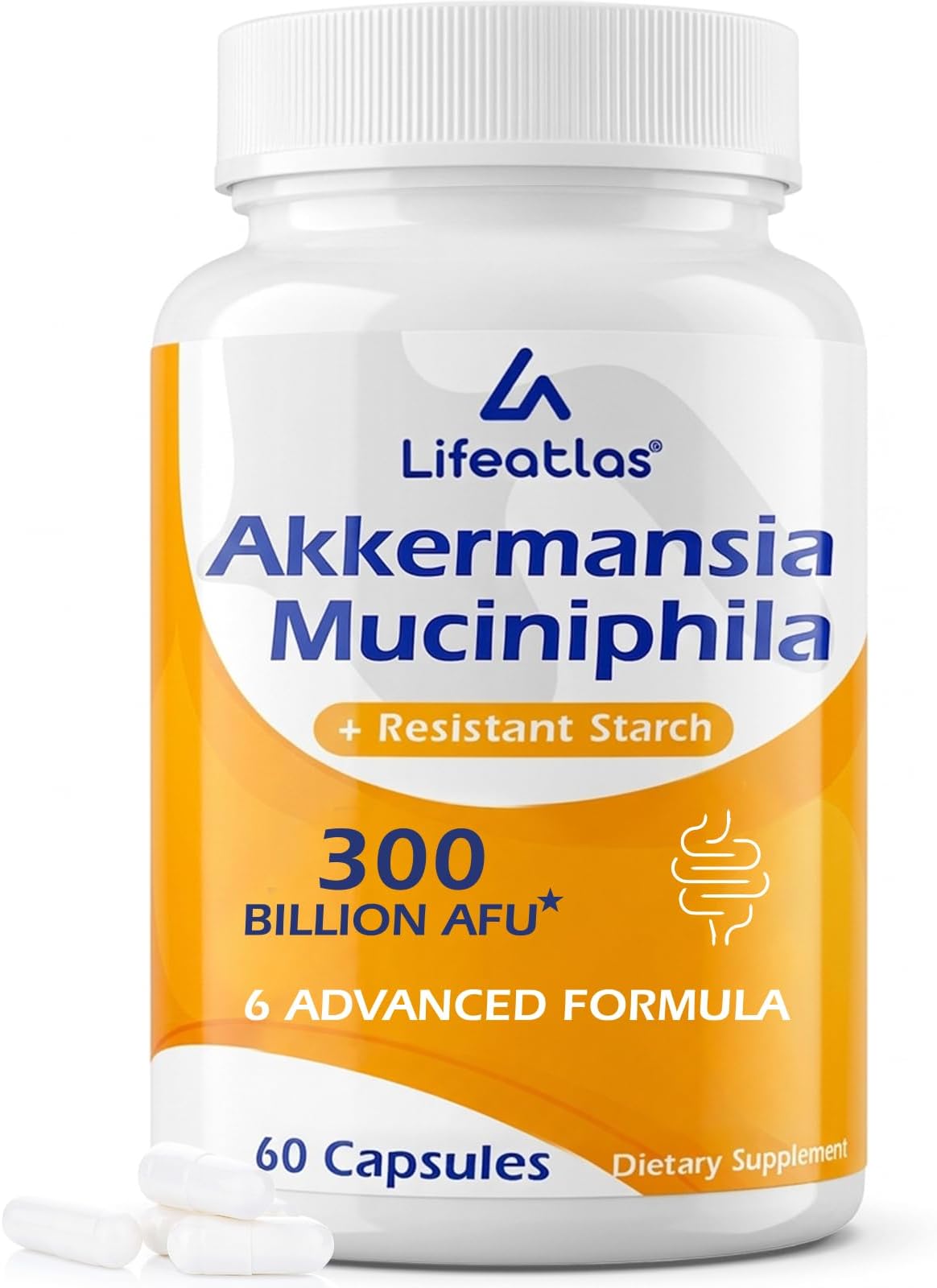 300 Billion AFU, 6-in-1 Akkermansia Probiotics for Women & Men, 60 Count