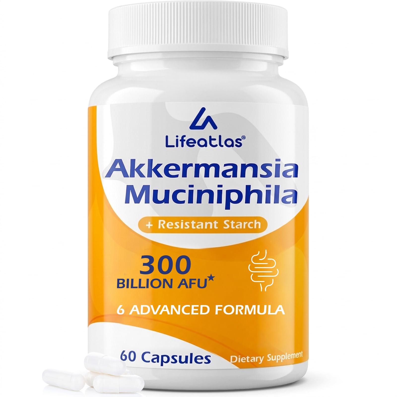 300 Billion AFU, 6-in-1 Akkermansia Probiotics for Women & Men, 60 Count