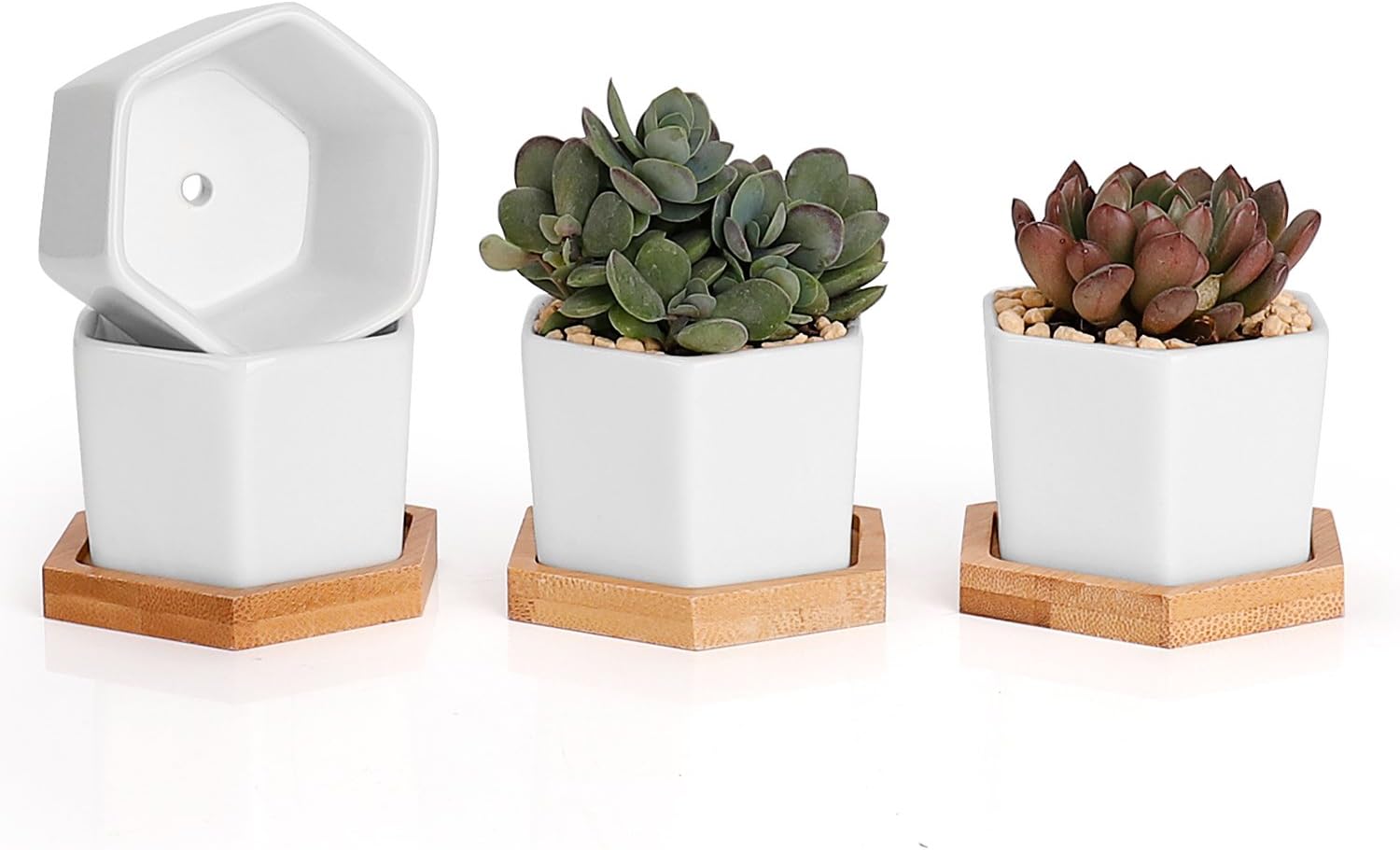 Succulent Plant Pots, Hexagon Planter, Flower Pots, Set of 4, White