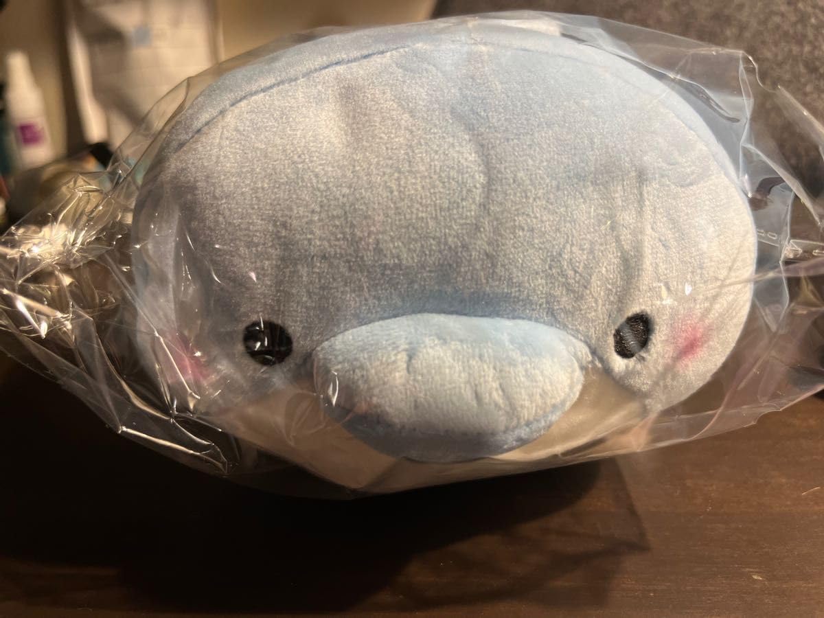 Amazon.co.jp: もちふわ ころころすいぞくかん いるか イルカ 青イルカ