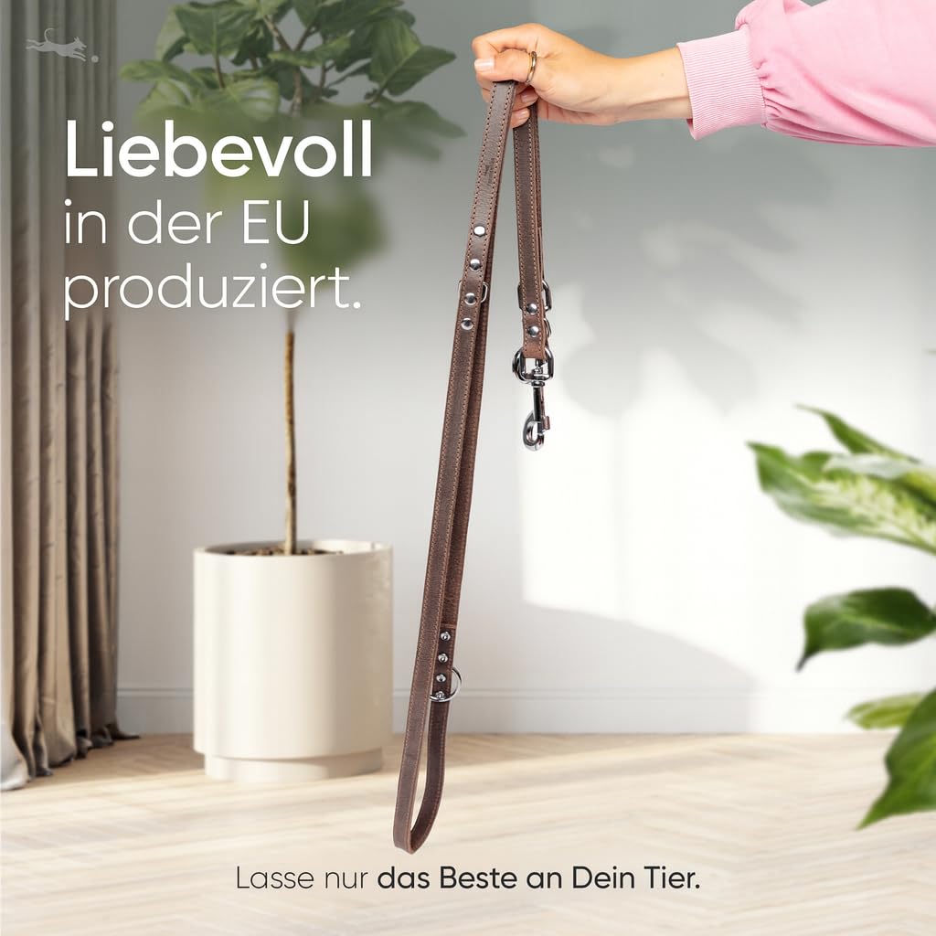 FREUDENTIER Hundeleine 2m aus zertifiziertem Leder - Verstellbare Führleine - Handmade in EU - Hundeleine grosse Hunde, mittelgroße & kleine Hunde - Lederleine (Dark Chocolate, 20mm breit)