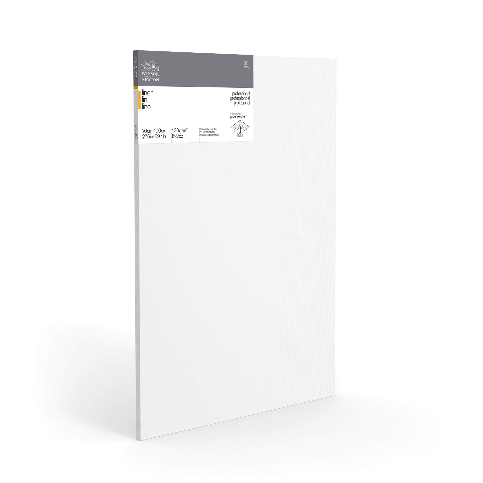 Winsor & Newton 6204001 - Tela professionale su telaio, 465 g/m², tripla imprimitura, grana media, ideale per colori ad olio e acrilici, 100 x 100 cm