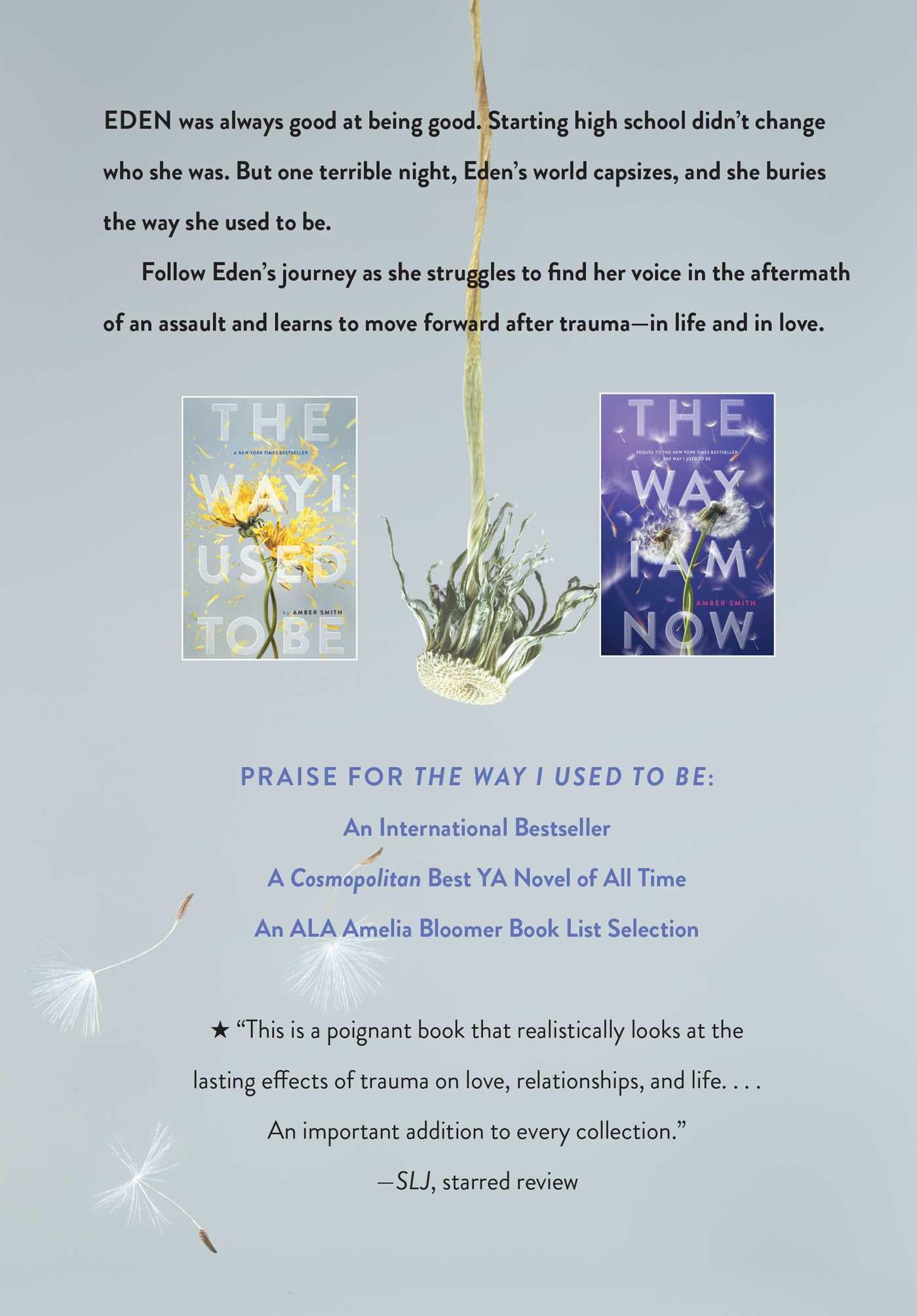 The Way I Used to Be Collection (Boxed Set): The Way I Used to Be; The Way I Am Now