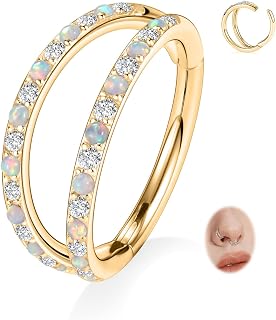 FUNLMO Double Hoop Nose Ring Conch Piercing Jewelry Septum Ring Cartilage Earring Tragus Helix Rook Daith Piercing Jewelry 316L Surgical Steel