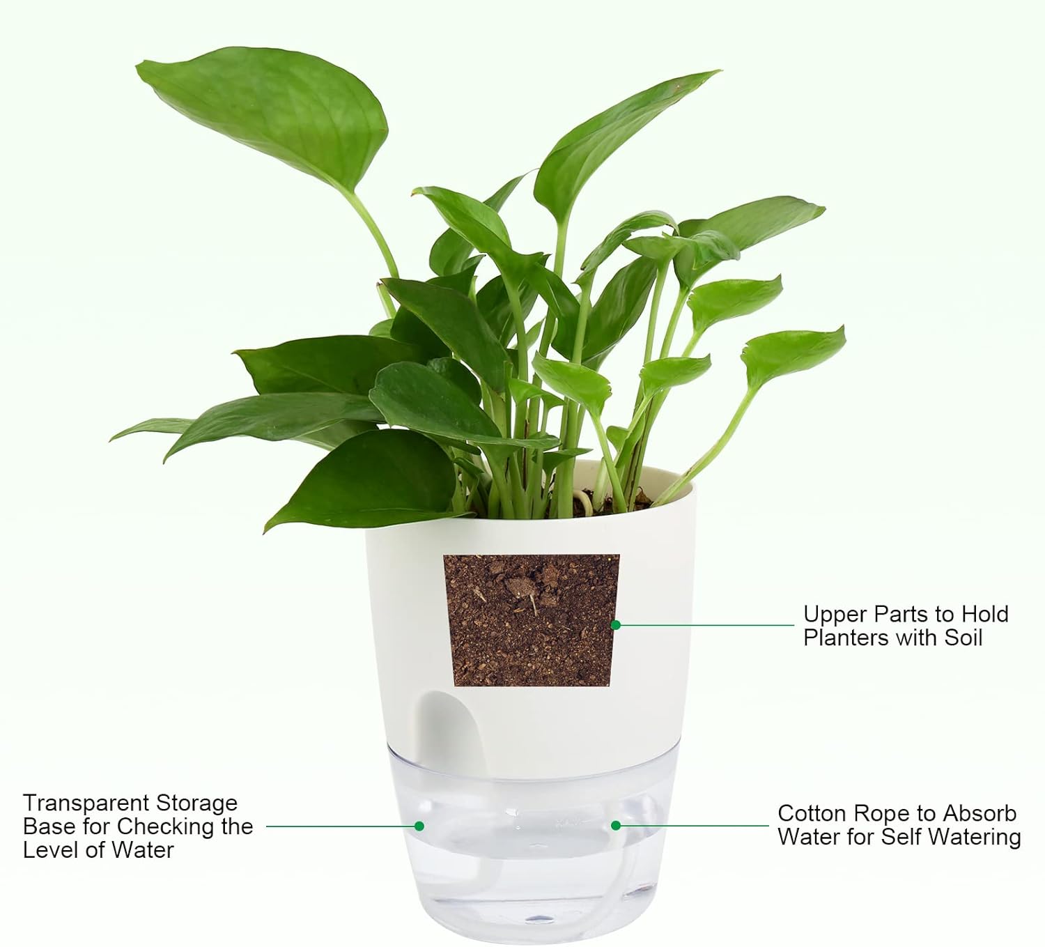 ShineMe Self Watering Pots, 5 Pack Self Watering Planters for Indoor Plants, 4.1 inch Plastic Plant and Flower Pots for African Violets, Herbs, Aloe, Peace Lily with Absorbent Cotton Rope - Image 2