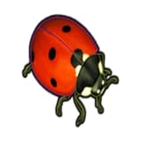 Flying Leaf Games, Inc.
