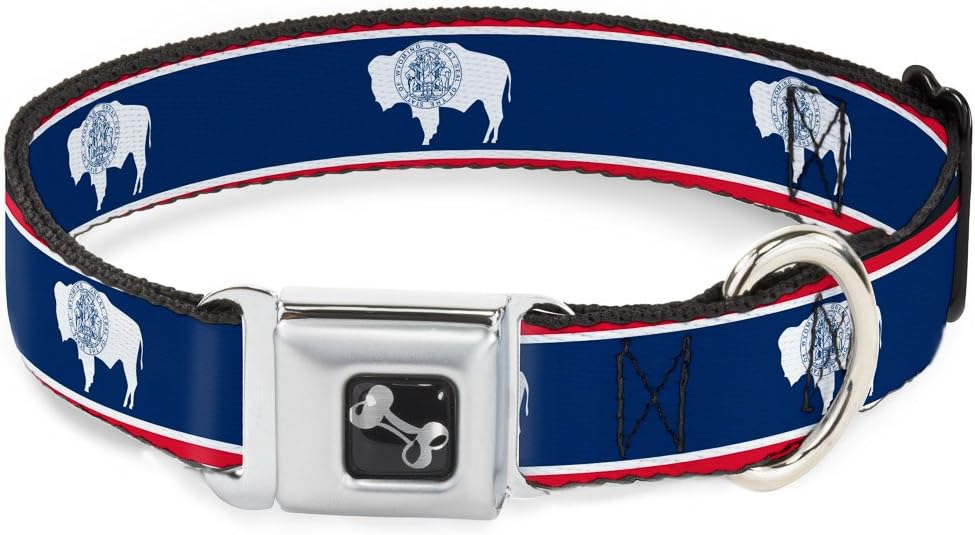 Buckle-Down Dog Collar Seatbelt Buckle Wyoming Flags, Multicolor, 1" Wide - Fits 9-15" Neck - Small (DC-W32319-S)