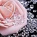 Blulu 2000 Pack 6 mm Clear Acrylic Diamond Scatters Wedding Party Crystal Table Confetti