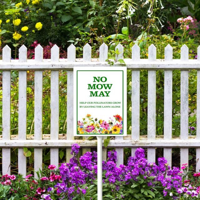 when is the⁢ best time to mow ⁤the lawn