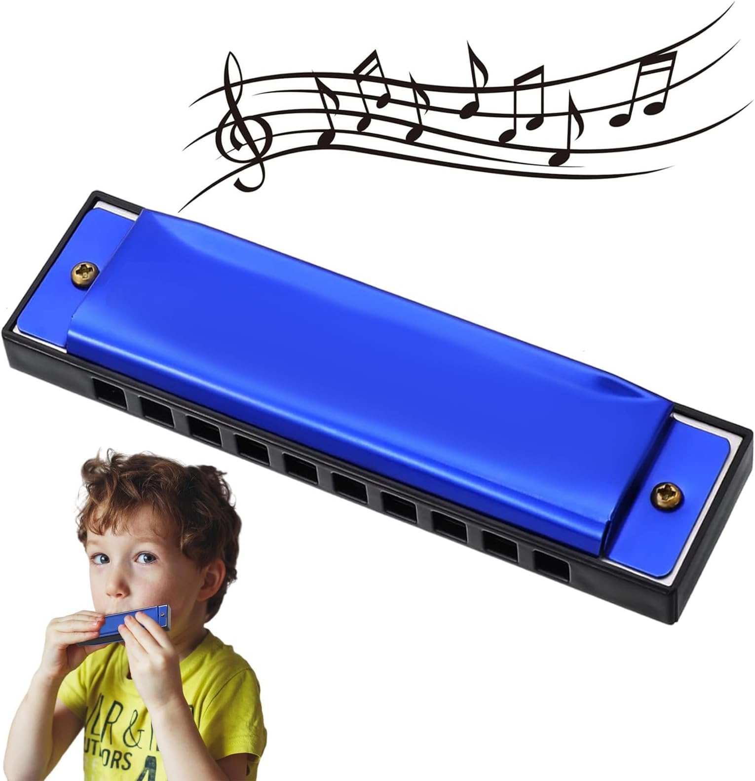 10-Hole 20-Tone Blues Harmonica in C, Mouth Organ, Perfect for Beginners & Professionals, Blue