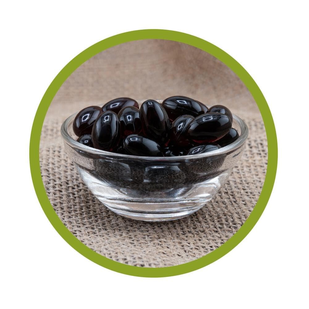 vitalundfitmit100 Krillöl Kapseln 500 mg 100 Softgelkapseln Omega 3 mit Astaxanthin natur pur glutenfrei laktosefrei ohne Zusatzstoffe