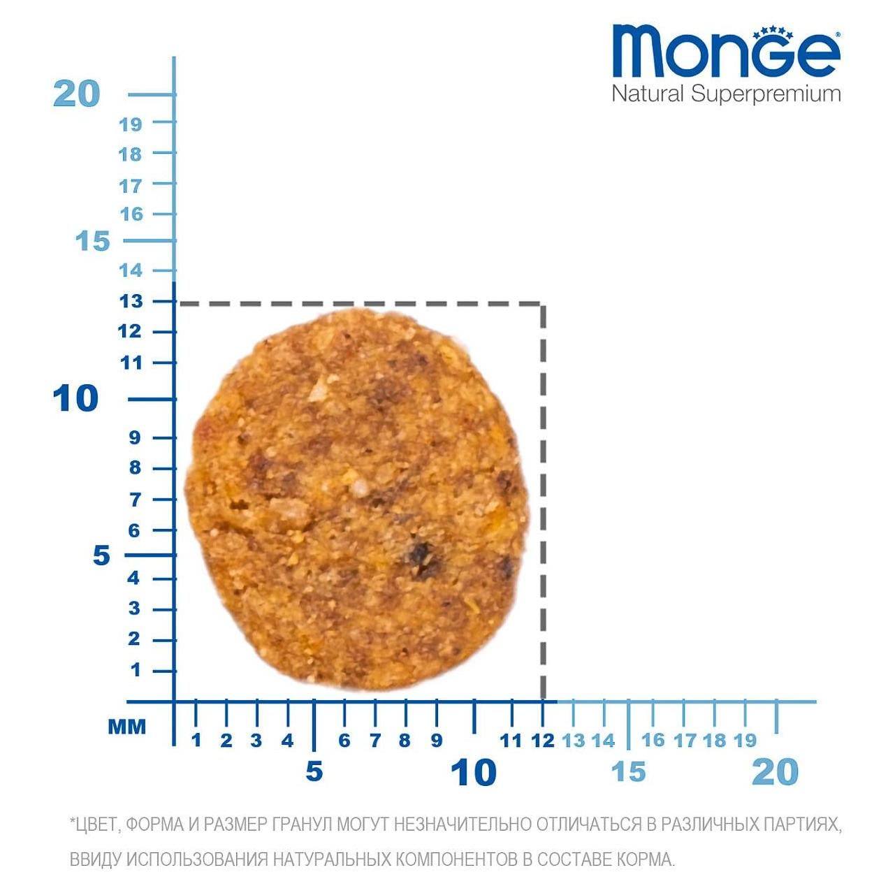 MONGE Adult Poulet