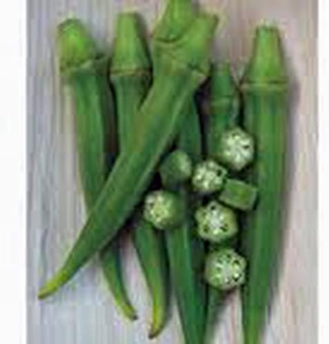 Miniatura 2 de Okra Seed, Perkins Long Pod, reliquia, sin OMG, más de 25 semillas, semillas de okra