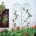 2 Pack Garden Trellis for Climbing Plants 86.7'' x 19.7'' ?Green Metal Garden Trellis?Heavy Duty Rustproof Plant Trellis for Rose Vegetable Cucumber