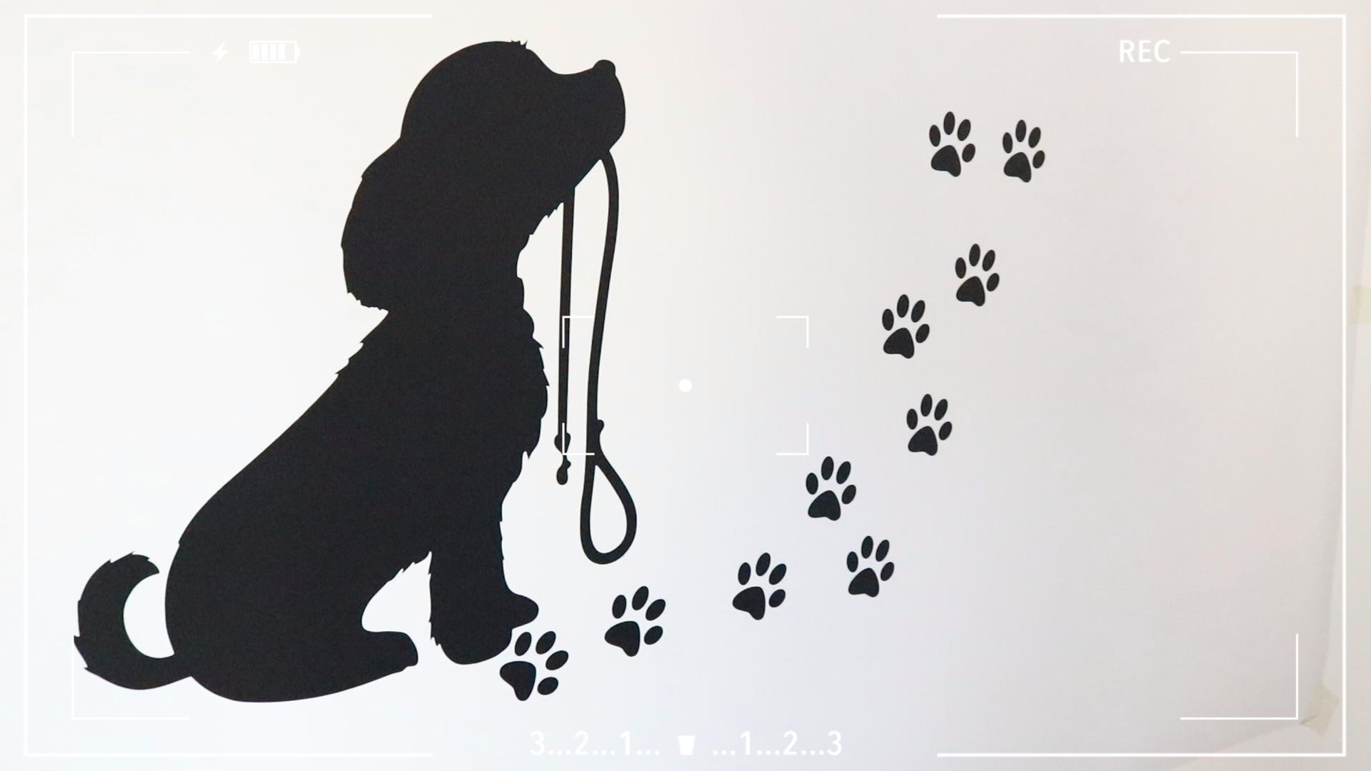 Vinilo Decorativo de Huellas de Perro para Pared miniatura 7