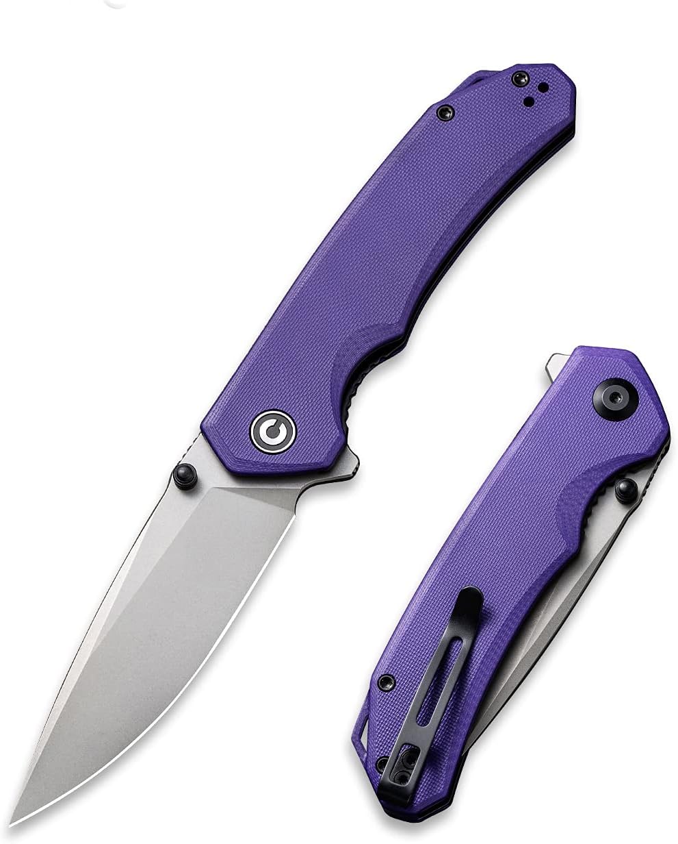 CIVIVI Brazen Folding Pocket Knife,3.5-Inch 14C28N PlainEdge Blade,Outdoor Camping Hiking Knife with Thumb Stud and Flipper opener,G-10 Handle Tool for EDC C2102A (Purple)