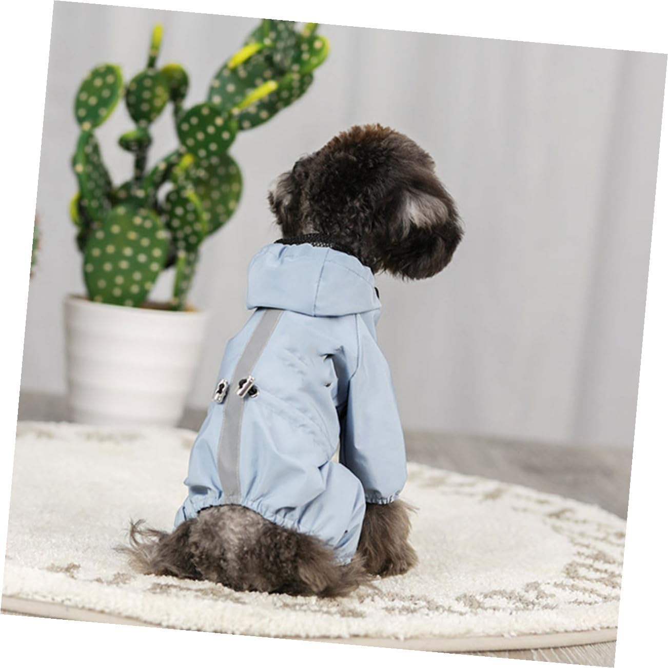 HEMOTON Reflective Waterproof Pet Raincoat Breathable Dog and Puppy Rain Jacket Blue S Size for Outdoor Use
