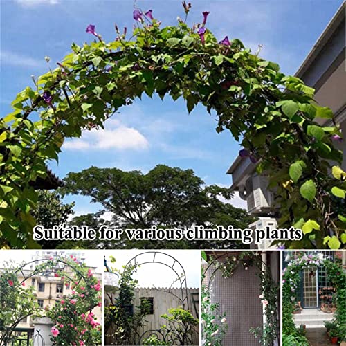 Arche de jardin en métal robuste comme aide à l'escalade pour vos rosiers - 7