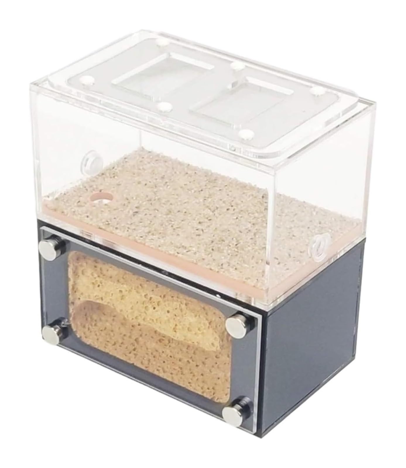 Formikarium dla mrówek, Terrarium z zamkiem mrówek miejscem do karmienia, przezroczyste akrylowe gniazdo 13 cm
