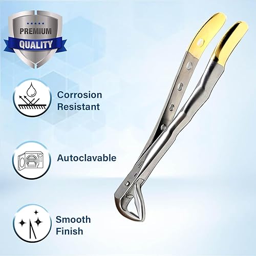 Vista 29 de Pinzas universales de extracción dental alemana, para extraer molares inferiores del hueso alveolar, mandíbulas dentadas, hechas de acero inoxidable