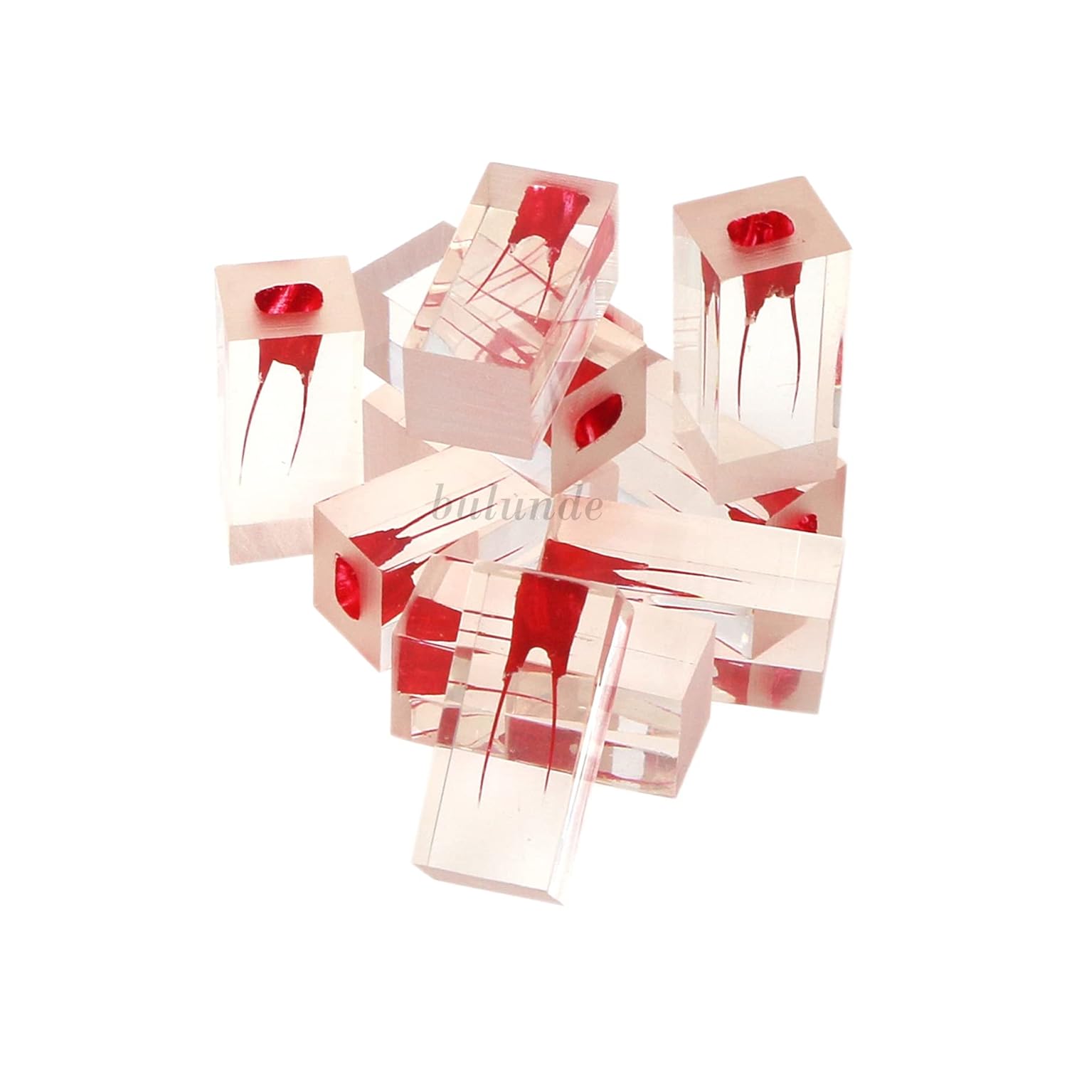 10Pcs Dental Endo Root Canal Teeth Model Practice Block RCT Pulp Cavity Study Endodontic Root Canal Block Practice Student Study Practice Operation Model (M8002-1(1 Root Cancal))