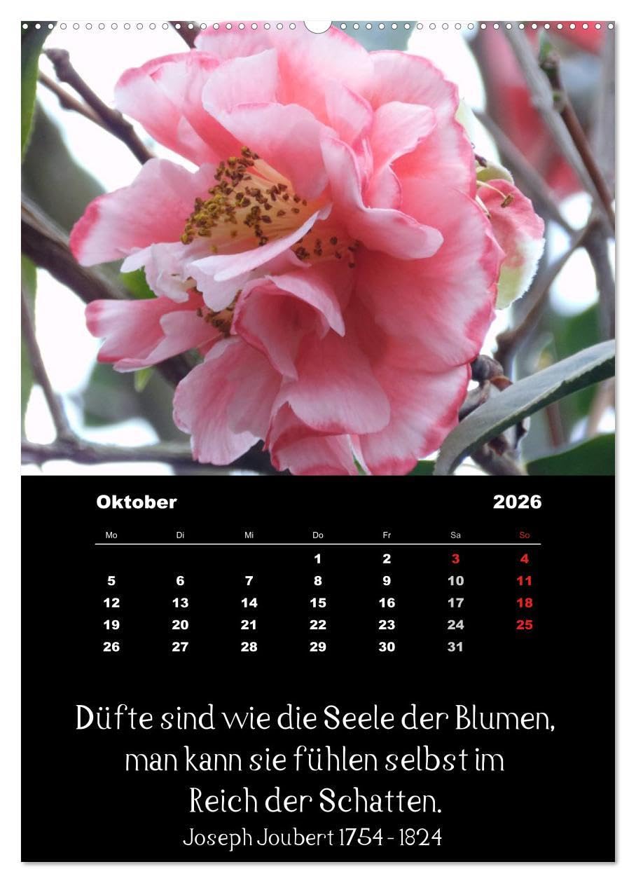 Sprüche und Zitate berühmter Personen über Blumen und Natur (hochwertiger Premium Wandkalender 2026 DIN A2 hoch), Kunstdruck in Hochglanz: ... Spruch unter jedem Bild (CALVENDO Natur)