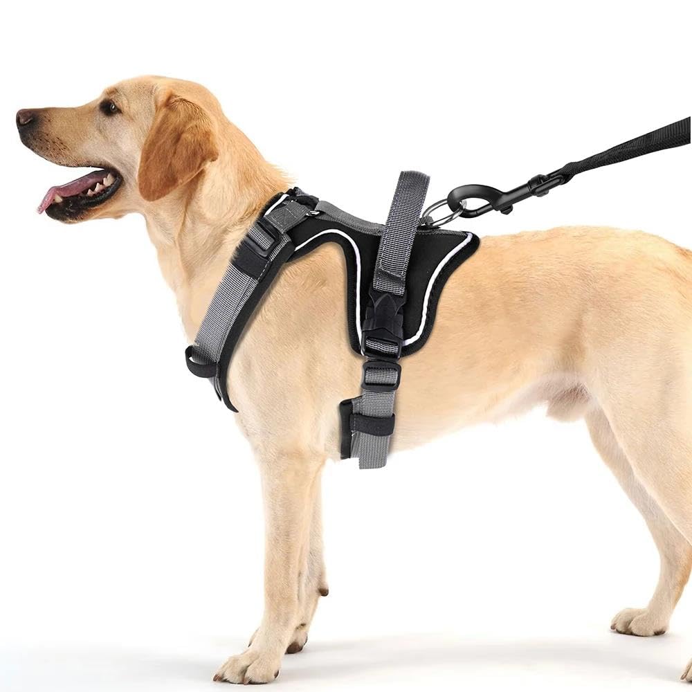 Imbracatura per Cani Riflettente per Esterni, per Passeggiate, addestramento, Campeggio, Caccia, Regolabile, Anti-tiro, con Maniglia di Controllo (Nero, L)