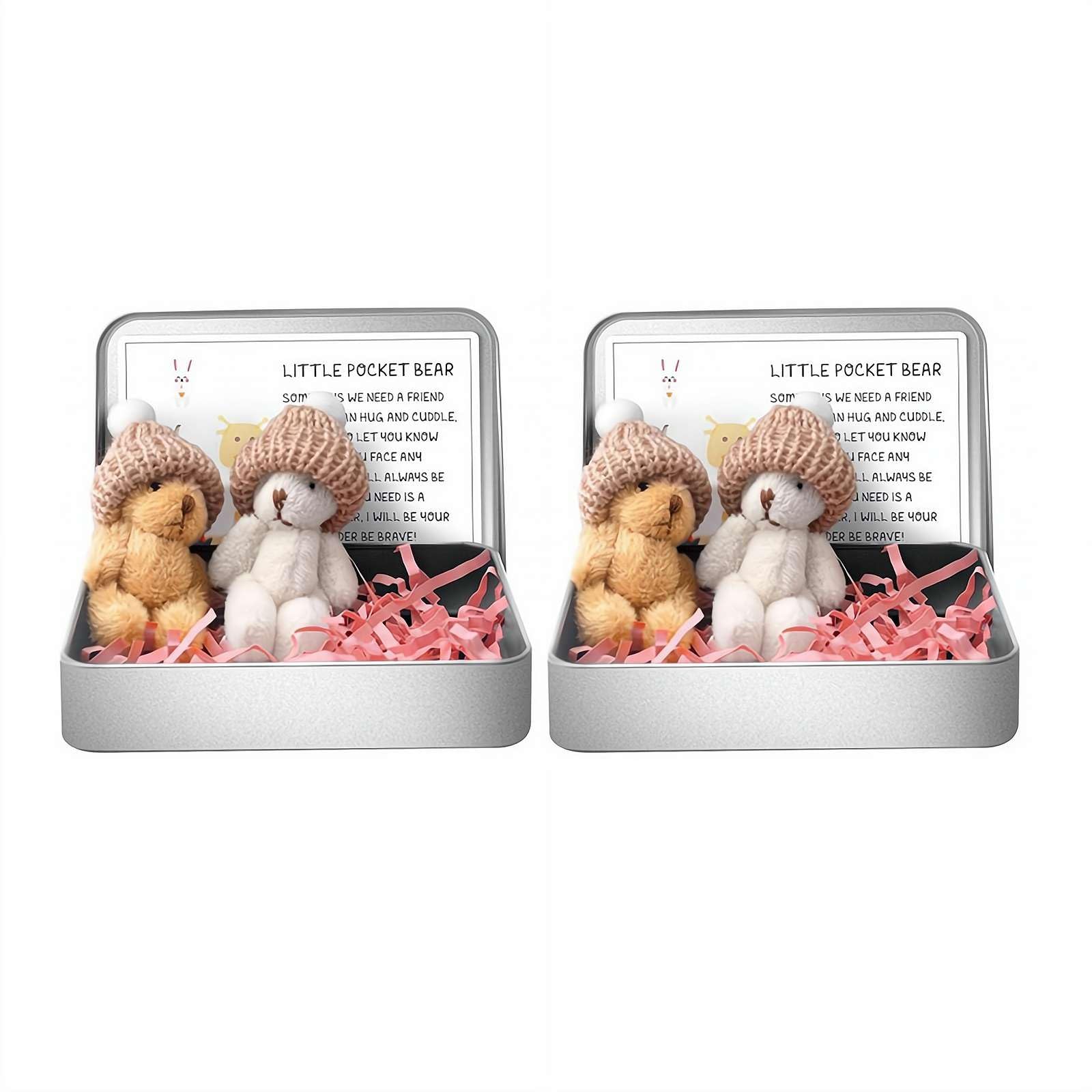 Little Pocket Worry Bear in Box with a Hat, Adorable Mini Emotional Plush Positive Support Bears with Encouraging Card Cute Inspirational Gifts for Office Desk Decor & Birthday Party Favor