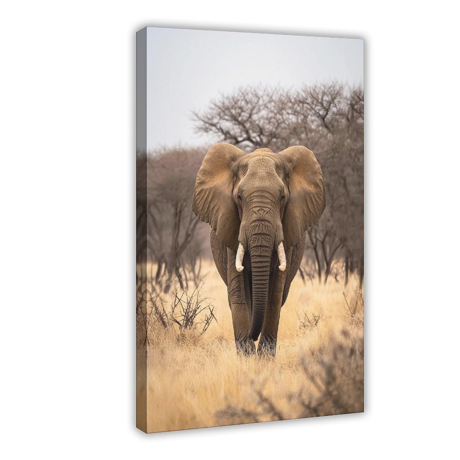 Bareronor African Elephant Canvas Poster Bedroom Decor Landscape Office Room Decor Gift 24" L X 36" W