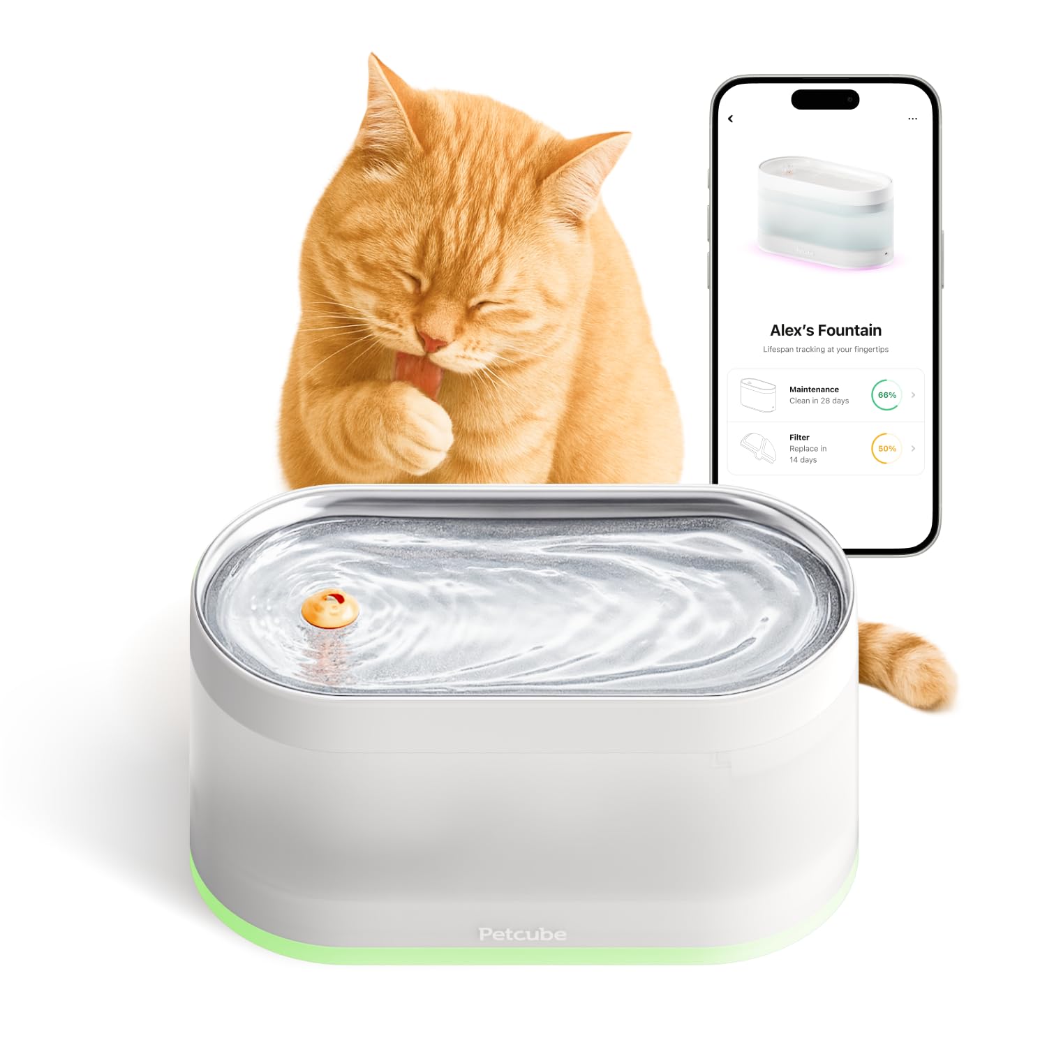 Petcube Pet Water Fountain | Automatic Wireless Fountain for Cats and Dogs with Stainless Steel Bowl, Easy to Clean, 4-Layer Filtration, in-App Filter Control, LED Light, Quiet Pump, Battery Operated