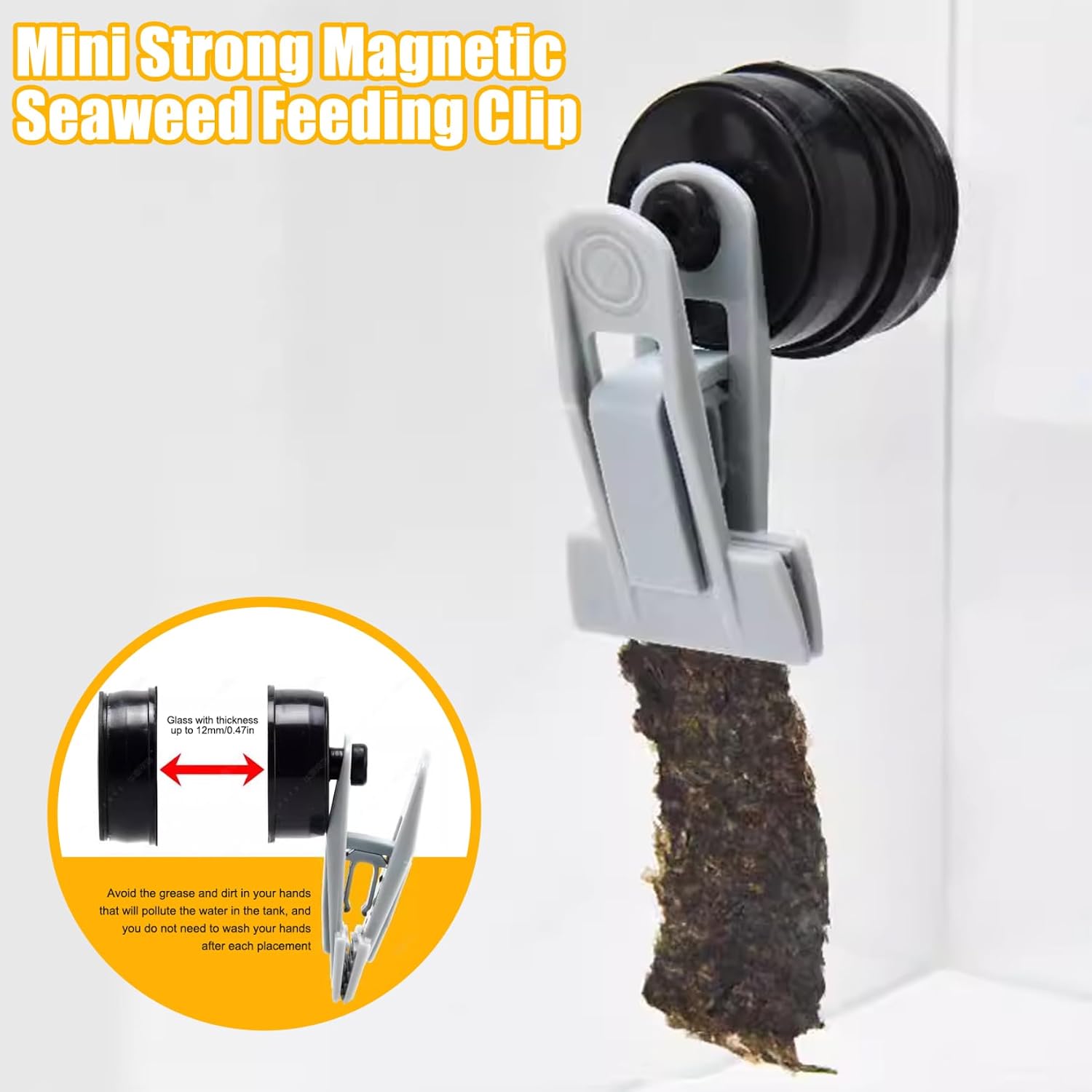 Seaweed Clip Strong Magnetic Seaweed Fish Feeder Clip Portable Tank Feeder Mini Veggie Practical Aquarium Accessories for Fish and Aquatic Pets. image 3