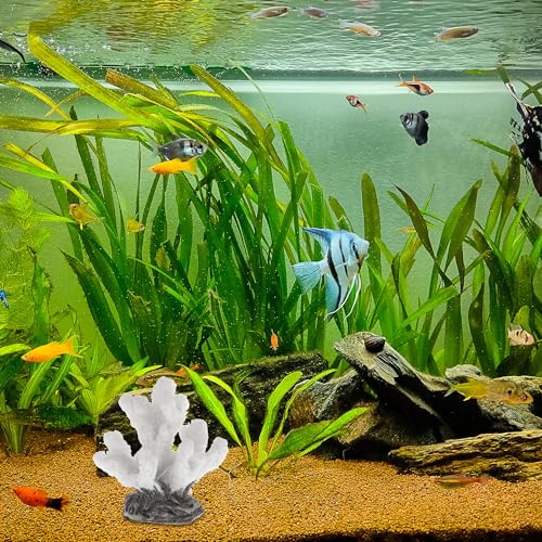 Image of Colorful Coral Reef Decor, Mini Faux Coral Decor for Aquarium Decorations, 1.77x1.85inch (White)