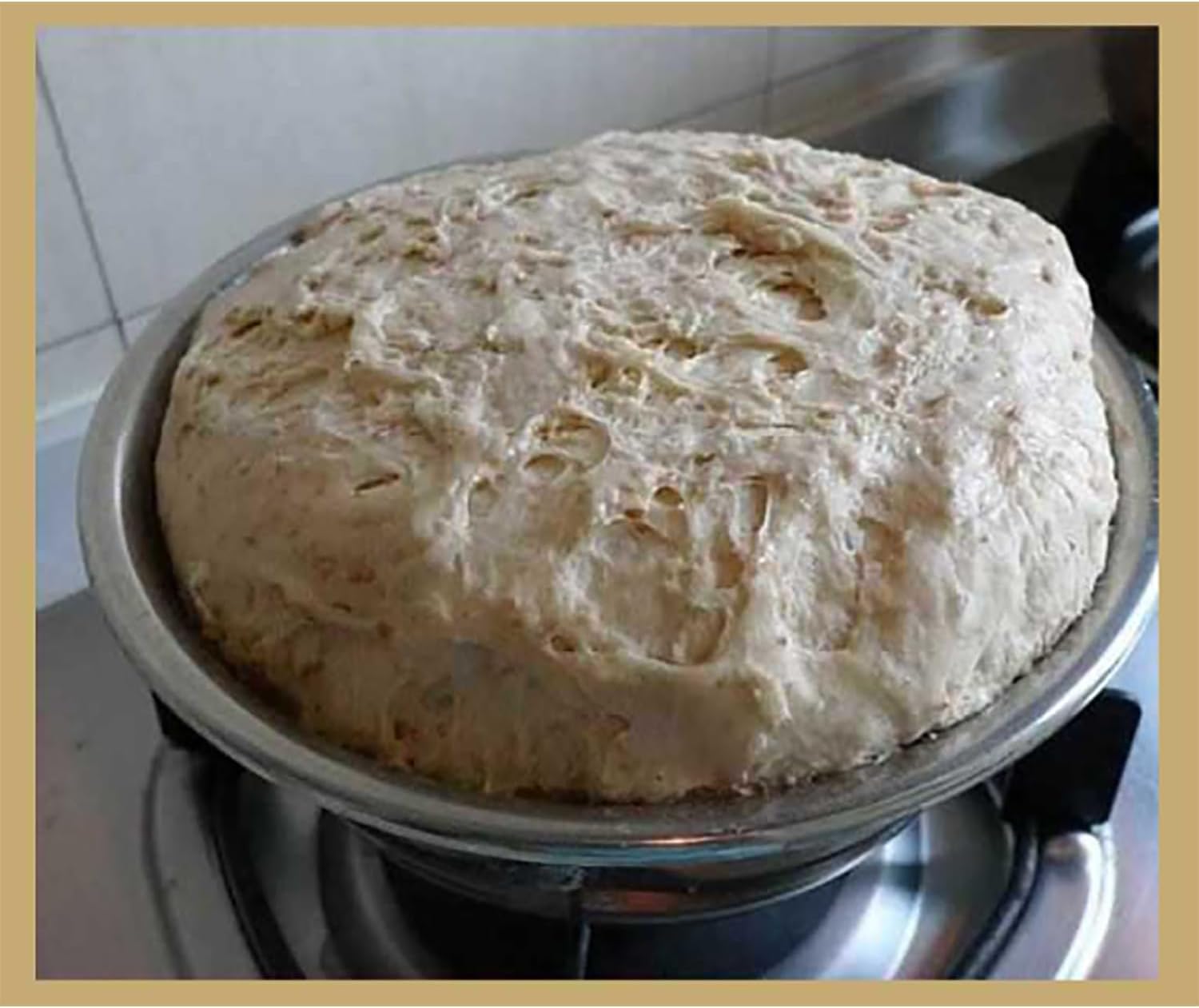 Sauerteig-Starter-Gärbox mit beheizter Gärstation, 3 Temperatureinstellungen für Brotherstellung, 35 l Fassungsvermögen