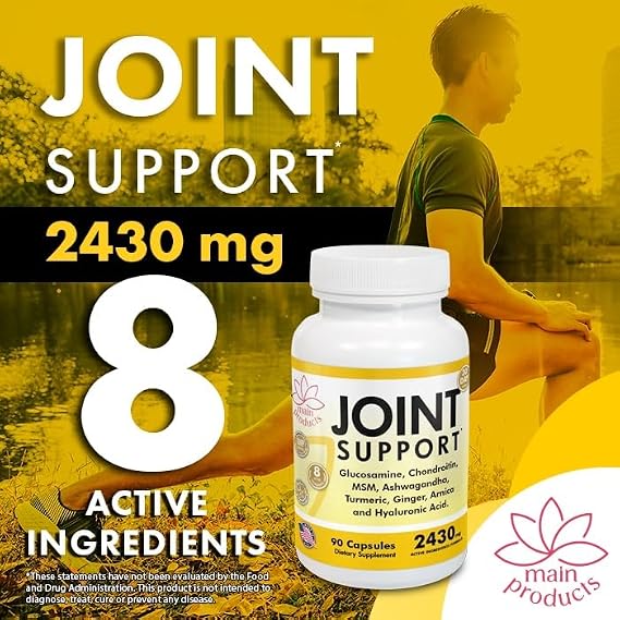 Glucosamine Chondroitin MSM Hyaluronic Acid Ashwagandha Turmeric Ginger Arnica - Joint Support Supplement, Micronized, 2430mg, 2 Pack