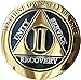 RecoveryChip 2 Year AA Medallion Elegant Black Gold Silver Bi-Plated Alcoholics Anonymous Chip