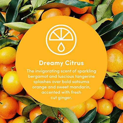 Clean Revolution Foaming Hand Soap | Gentle, Moisturizing | Ready To Use | Real Essential Oils | Dreamy Citrus | 15.25 Fl Oz #TOP2