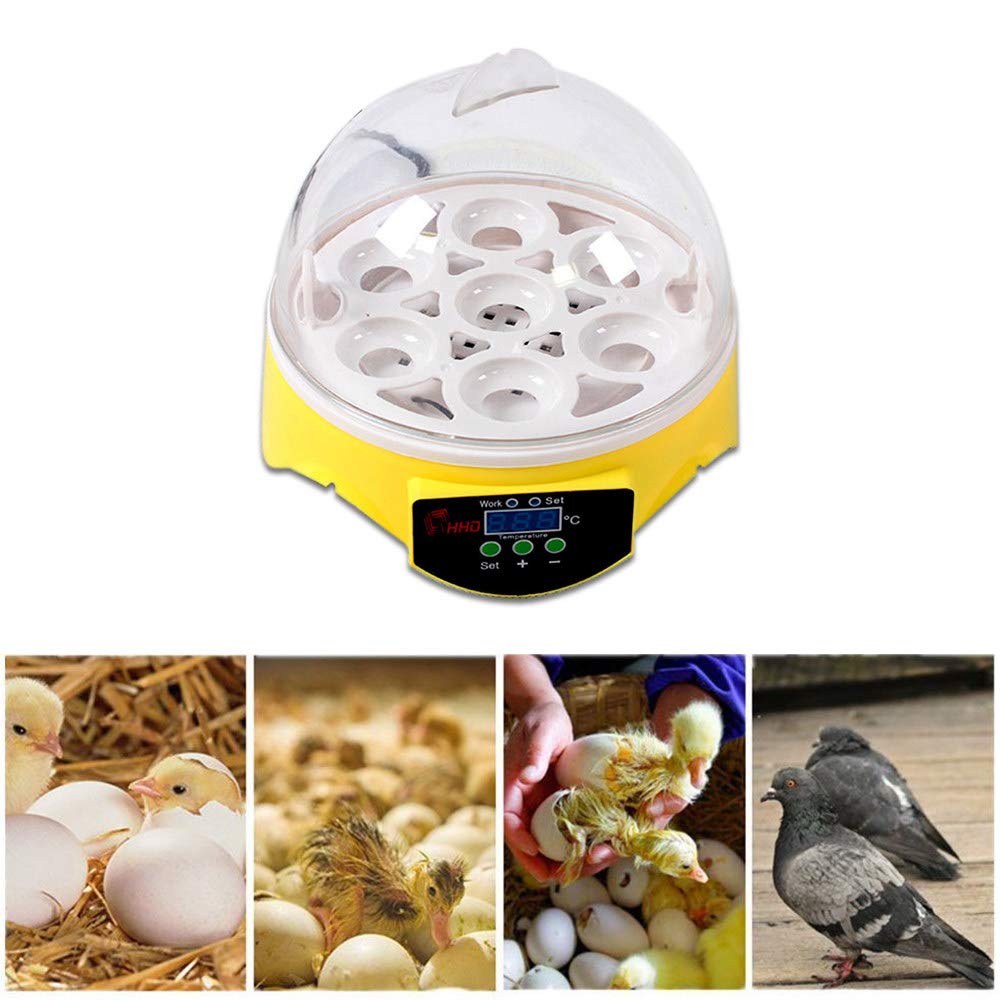 Buy ZIHAOI Egg Incubator Digital Automatic Poultry Hatcher Egg Turning